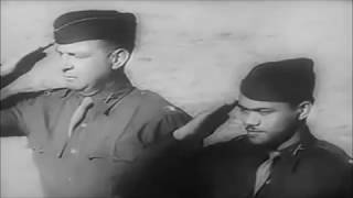 1942 Newsreel: 1st Filipino Infantry Regiment | US ARMY World War 2 History