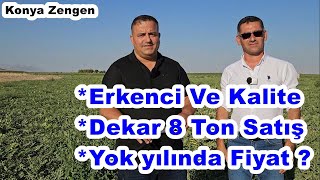 Karpuz Gübreleme - Karpuz Fiyatları - Erkencilik - Verim - Kalite - Konya Ereğli