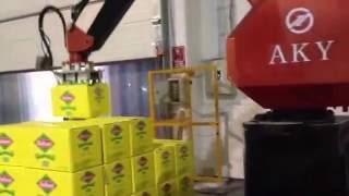 Carton palletizing robot