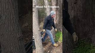 Carried #firewood  for #woodstove  #fireplace #wood #backyard