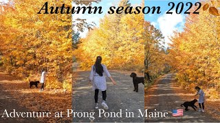 Scenic Drive, Prong Pond in Maine. Autumn season 2022.🍂🤩