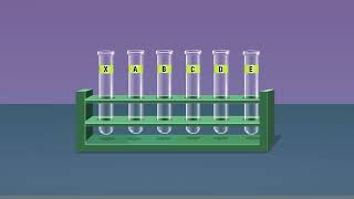 Study the Shift in Equilibrium between [Co(H₂O)₆] ²⁺ and Cl⁻ ions