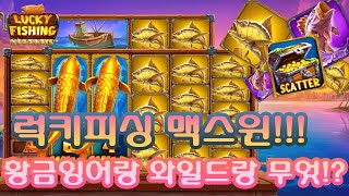 [슬롯] [슬롯실시간] [슬롯잭팟] 럭키피싱 맥스윈!! 잉어랑 와일드의 콜라보!  #슬롯라이브 #슬롯머신 #슬롯실시간