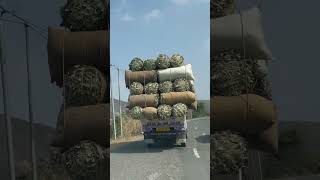 Biryani leaf loaded truck in Meghalaya #biryani #chickenbiryani #leaf #truck #meghalaya