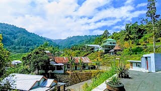 Pesona Pedesaan Di Lereng Gunung Lawu Dengan Pemandangan Alam Yang Memikat Dan Mendamaikan