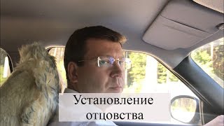 Установление отцовства через суд, экспертиза ДНК: советы семейного адвоката