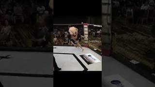 D1 wrestler first mma fight