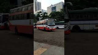 MSRTC Sleeper Seater Bus Mumbai - Usmanabad Route At Mumbai Central Depot #shorts