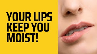 The Fascinating Function of Lips: Understanding the Importance of Our Mouth's Edge