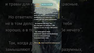 🦉Психология мотивации, 🐺🦄 цитаты, саморазвитие, философия