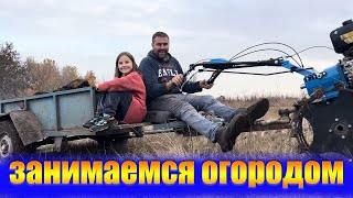 Мой огород. Сцепка мотоблока и автомобильного прицепа. Посадка лука под зиму осенью