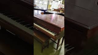 Who owns this Bechstein grand piano?