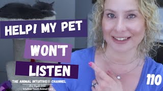 How to solve pet problems with telepathic animal communication | Ep  110