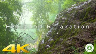 Beautiful Waterfall in 4K with Relaxing Sound