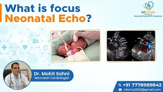 What is focus neonatal echo?