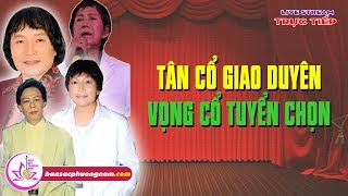 Tân Cổ Giao Duyên - Vọng Cổ Tuyển Chọn Hay Nhất - BẢN SẮC PHƯƠNG NAM