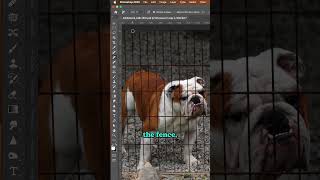 Photoshop Magic: Watch How I Remove a Fence in Seconds! ✨🪜 #shorts