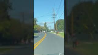 Guy stole basket of food run run