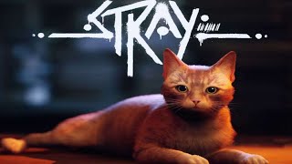 PLAYING STRAY | PT -1