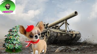 🔴 World of Tanks | Tiger 131 имба танк  [СТРИМ] 😵