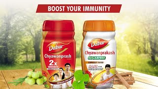 Dabur Chyawanprash : 2X Immunity, helps build Strength and Stamina full review in hindi |