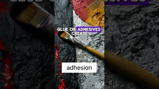 Adhesion Explained! #ScienceFacts #DIY