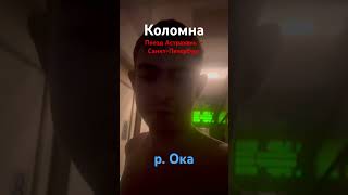 Поезд едут по мосту через Оку #коломна