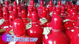 Bulk Stocks | ASISI Systems Corp.