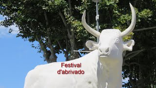 festival d'abrivado de Mauguio 2014