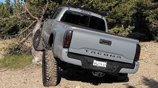 1300 MILE ROAD TRIP TO COLORADO! CONEY FLATS AND MIDDLE ST. VRAIN TRAILS IN 3RD GEN TACOMA! PART 1.