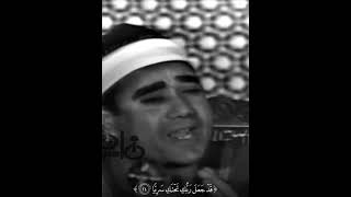 خشوع وتمكن رهيب من الشيخ راغب غلوش رحمه الله ♥️