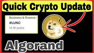 ( 4 FEB ) Doge and lunc 🚀 🚨 Quick Crypto Update 🔥 #Bitcoin #Crypto #RahulMaurya