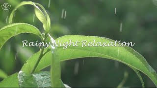 Rain Sound, Calm Water Drops and Relaxing Music for Deep Sleep | The Muse Meditation