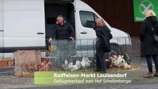 Geflügelverkauf Raiffeisen-Markt Louisendorf