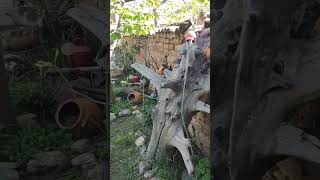 Our sunny yard and traditional home in the Rhodope Mountains in Southern Bulgaria