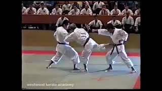 Nishiyama, Hangetsu, Bunkai