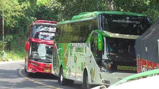 bus artis telolet saling tempel di turunan exstrem