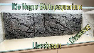 Biotopaquarium, endlich geht es los. !Gewinnspiel !Discord