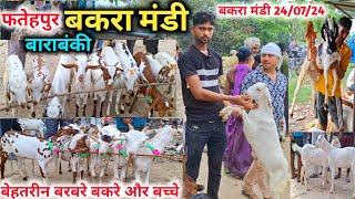 बरबरे बकरे और बच्चे |Fatehpur Bakra mandi Barabanki UP live Update with price 24 Jul 2024