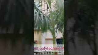 New government polytechnic Patna 13, Patna Bihar