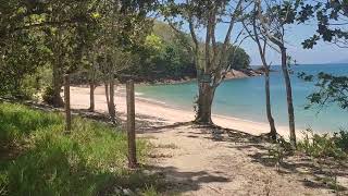 PRAIA da FIGUEIRA Ubatuba #ubatuba#caraguatatuba#ilhabella#saosebastiao#litoralnorte#martindesa