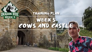 Cows and Castle | Dragon Ride Training Plan Week 5