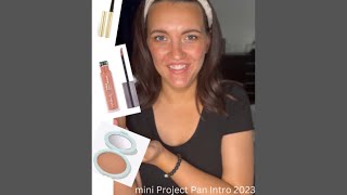 Mini Project Pan 2023- Intro