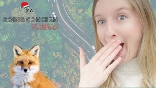 Wildlife and our wild life - VLOGMAS DAY 19 🎅🎄