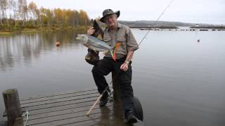 Go Fishing With Dr.Hook