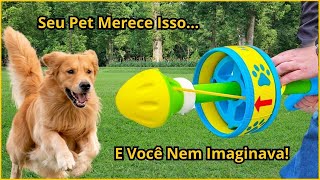 🐾 10 Invenções Que Vão Mudar a Vida do Seu Pet Para Sempre! 🐾