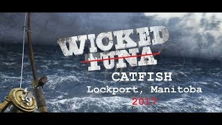 Wicked Catfish of Lockport Manitoba 2017