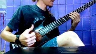 Marcus Miller - Power (bass cover by Zlatoyar)