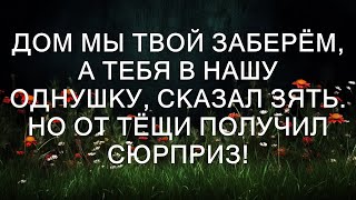 Дом мы твой заберём, а тебя в нашу однушку, сказал зять. Но от тёщи получил сюрприз!  || Тристе