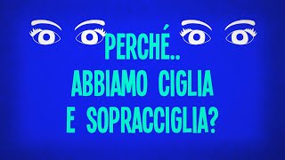 Perché abbiamo ciglia e sopracciglia?